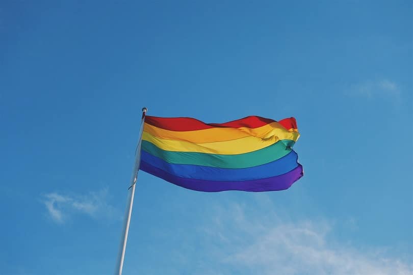 Pride Flag image - LGBTQ-River Centre Clinic