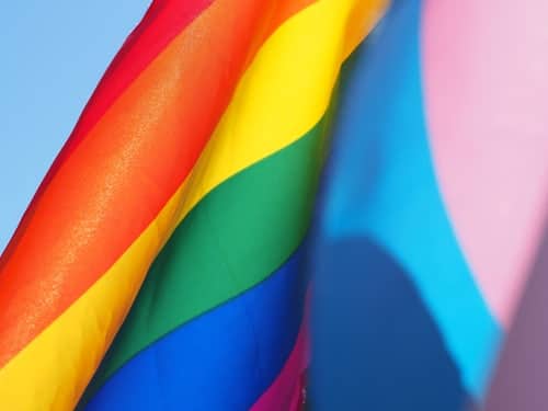 LGBTQ & TRANS Flags